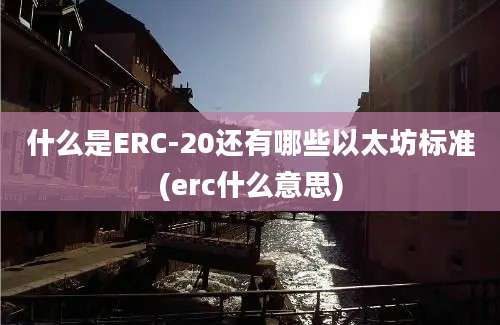 什么是ERC-20还有哪些以太坊标准(erc什么意思)