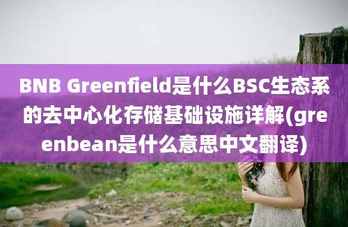 BNB Greenfield是什么BSC生态系的去中心化存储基础设施详解(greenbean是什么意思中文翻译)