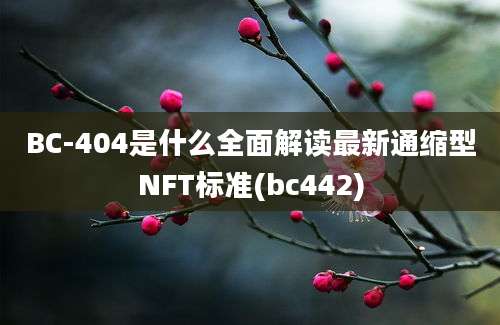 BC-404是什么全面解读最新通缩型NFT标准(bc442)