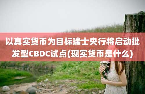 以真实货币为目标瑞士央行将启动批发型CBDC试点(现实货币是什么)