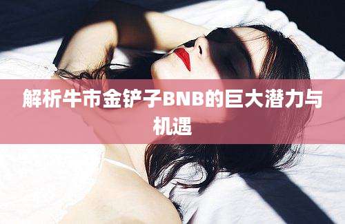 解析牛市金铲子BNB的巨大潜力与机遇