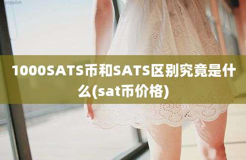 1000SATS币和SATS区别究竟是什么(sat币价格)