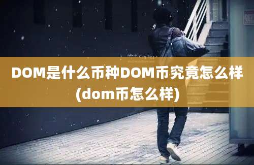 DOM是什么币种DOM币究竟怎么样(dom币怎么样)