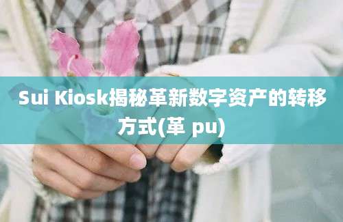 Sui Kiosk揭秘革新数字资产的转移方式(革 pu)