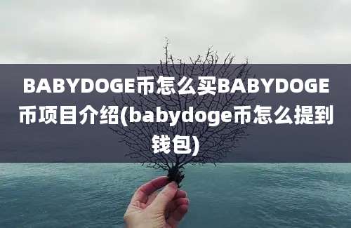 BABYDOGE币怎么买BABYDOGE币项目介绍(babydoge币怎么提到钱包)