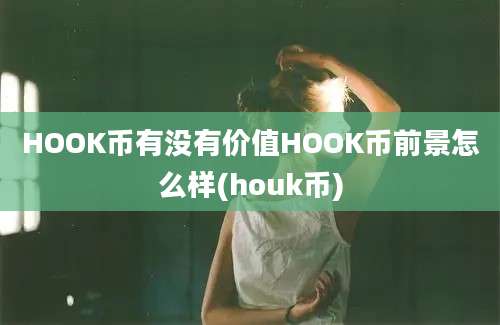 HOOK币有没有价值HOOK币前景怎么样(houk币)