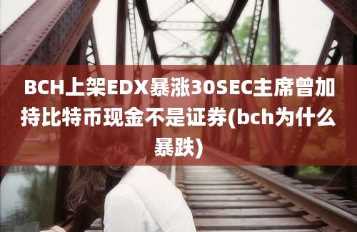 BCH上架EDX暴涨30SEC主席曾加持比特币现金不是证券(bch为什么暴跌)