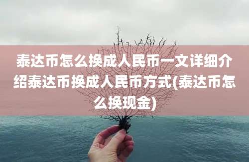 泰达币怎么换成人民币一文详细介绍泰达币换成人民币方式(泰达币怎么换现金)