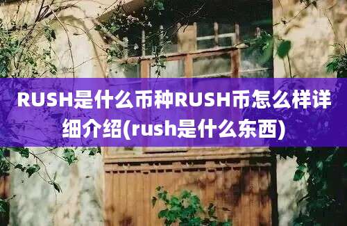 RUSH是什么币种RUSH币怎么样详细介绍(rush是什么东西)