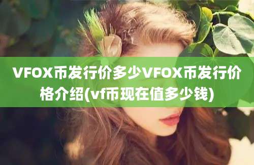 VFOX币发行价多少VFOX币发行价格介绍(vf币现在值多少钱)