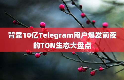 背靠10亿Telegram用户爆发前夜的TON生态大盘点