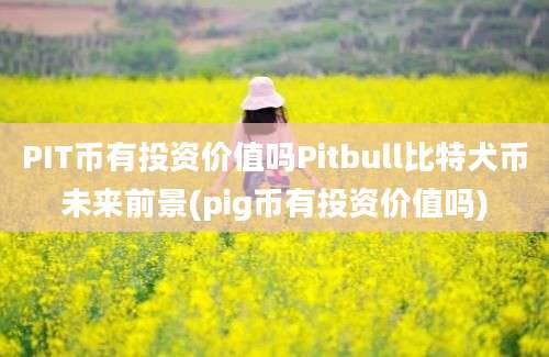 PIT币有投资价值吗Pitbull比特犬币未来前景(pig币有投资价值吗)