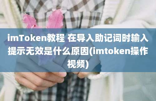 imToken教程 在导入助记词时输入提示无效是什么原因(imtoken操作视频)