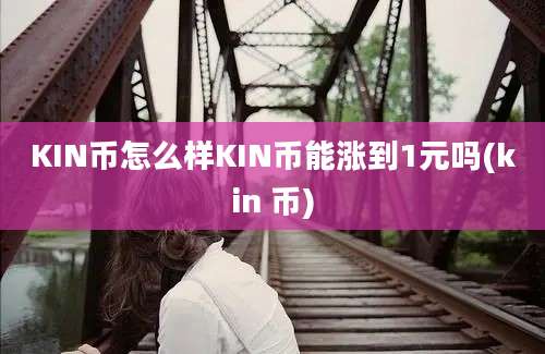 KIN币怎么样KIN币能涨到1元吗(kin 币)