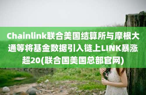 Chainlink联合美国结算所与摩根大通等将基金数据引入链上LINK暴涨超20(联合国美国总部官网)