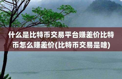 什么是比特币交易平台赚差价比特币怎么赚差价(比特币交易是啥)