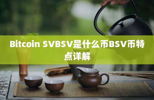 Bitcoin SVBSV是什么币BSV币特点详解