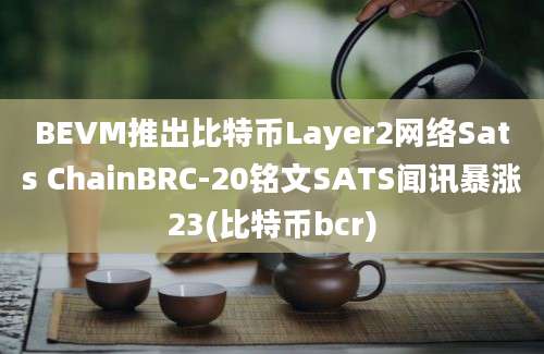 BEVM推出比特币Layer2网络Sats ChainBRC-20铭文SATS闻讯暴涨23(比特币bcr)