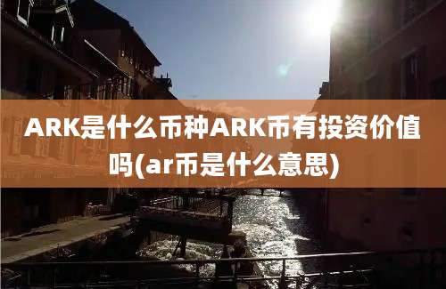 ARK是什么币种ARK币有投资价值吗(ar币是什么意思)