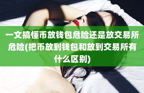 一文搞懂币放钱包危险还是放交易所危险(把币放到钱包和放到交易所有什么区别)