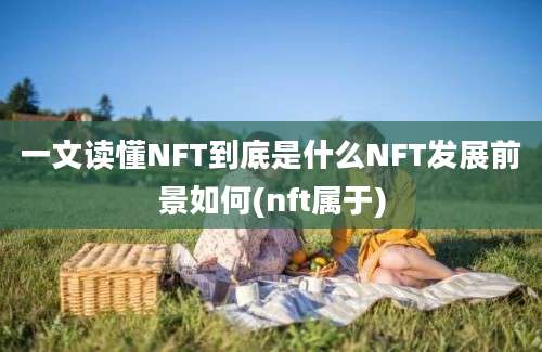 一文读懂NFT到底是什么NFT发展前景如何(nft属于)