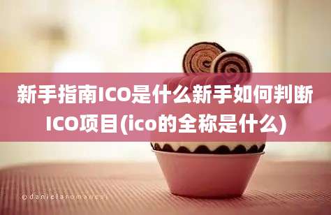 新手指南ICO是什么新手如何判断ICO项目(ico的全称是什么)