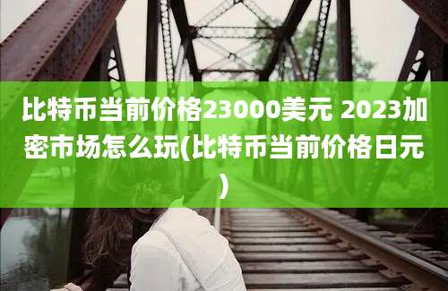 比特币当前价格23000美元 2023加密市场怎么玩(比特币当前价格日元)