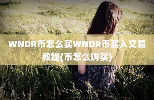 WNDR币怎么买WNDR币买入交易教程(币怎么购买)