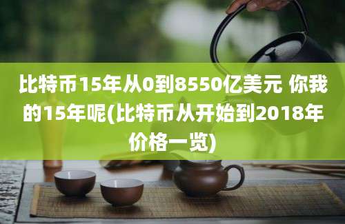 比特币15年从0到8550亿美元 你我的15年呢(比特币从开始到2018年价格一览)