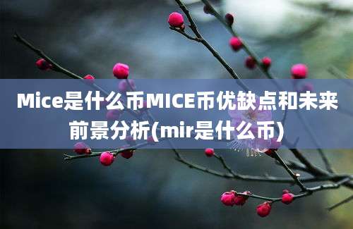 Mice是什么币MICE币优缺点和未来前景分析(mir是什么币)