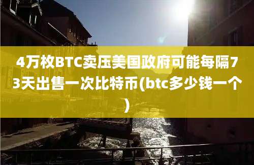 4万枚BTC卖压美国政府可能每隔73天出售一次比特币(btc多少钱一个)