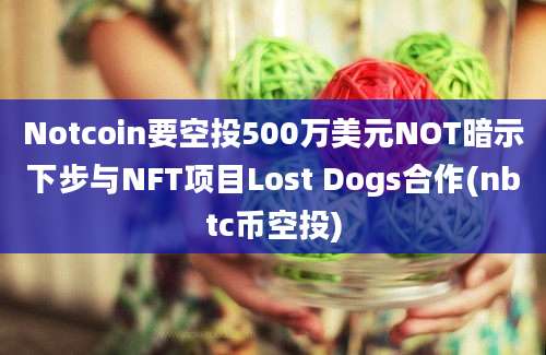 Notcoin要空投500万美元NOT暗示下步与NFT项目Lost Dogs合作(nbtc币空投)