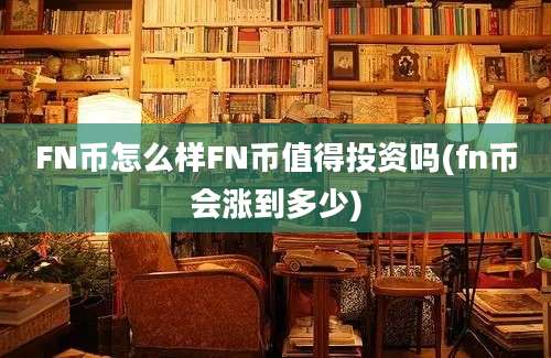 FN币怎么样FN币值得投资吗(fn币会涨到多少)