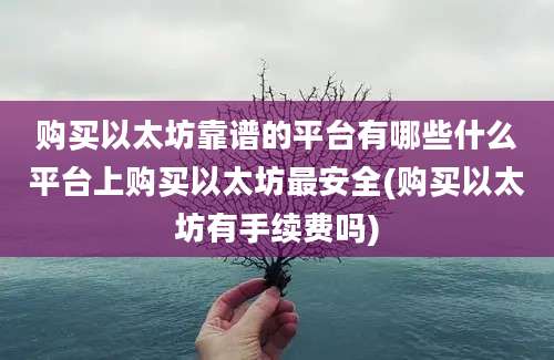 购买以太坊靠谱的平台有哪些什么平台上购买以太坊最安全(购买以太坊有手续费吗)