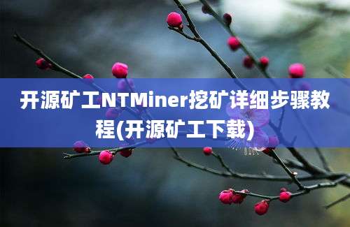 开源矿工NTMiner挖矿详细步骤教程(开源矿工下载)