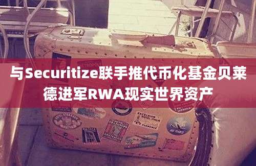 与Securitize联手推代币化基金贝莱德进军RWA现实世界资产