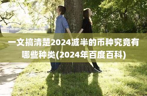 一文搞清楚2024减半的币种究竟有哪些种类(2024年百度百科)