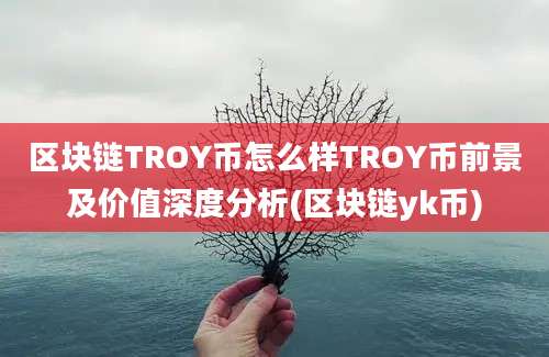 区块链TROY币怎么样TROY币前景及价值深度分析(区块链yk币)