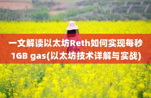 一文解读以太坊Reth如何实现每秒1GB gas(以太坊技术详解与实战)