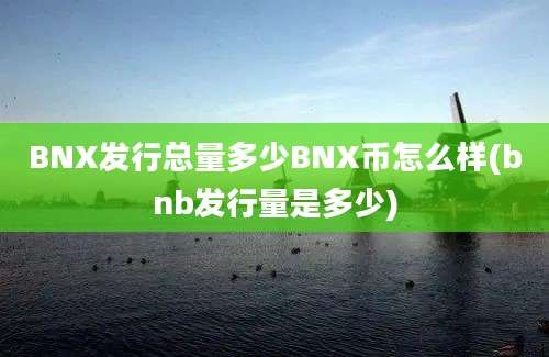 BNX发行总量多少BNX币怎么样(bnb发行量是多少)