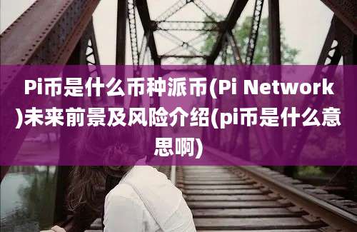 Pi币是什么币种派币(Pi Network)未来前景及风险介绍(pi币是什么意思啊)