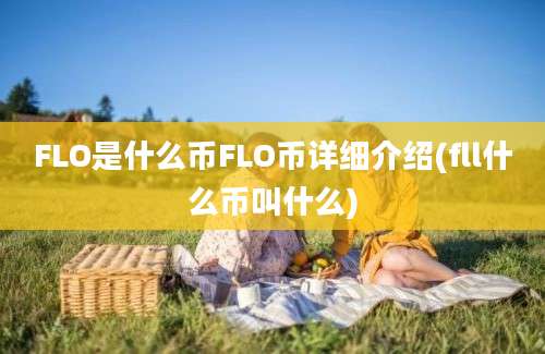 FLO是什么币FLO币详细介绍(fll什么币叫什么)