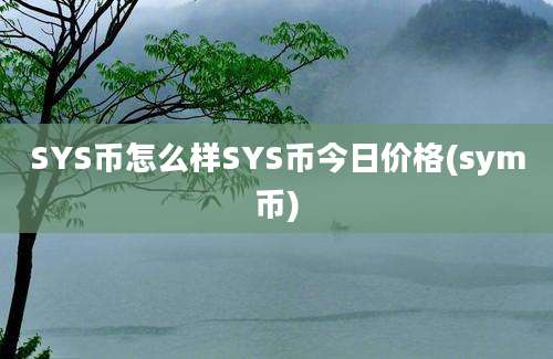 SYS币怎么样SYS币今日价格(sym币)