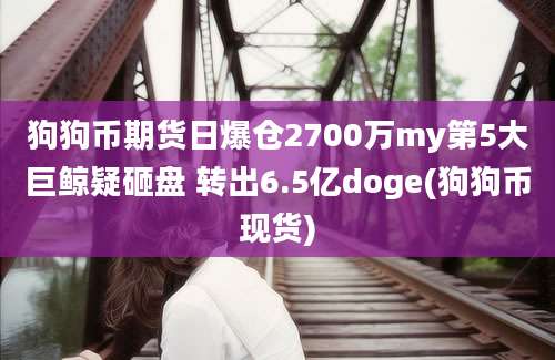 狗狗币期货日爆仓2700万my第5大巨鲸疑砸盘 转出6.5亿doge(狗狗币现货)