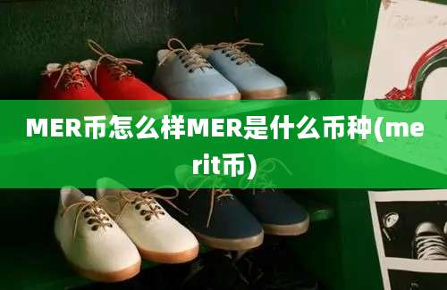 MER币怎么样MER是什么币种(merit币)