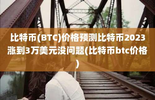 比特币(BTC)价格预测比特币2023涨到3万美元没问题(比特币btc价格)