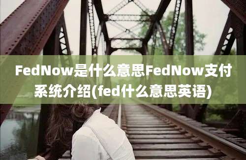 FedNow是什么意思FedNow支付系统介绍(fed什么意思英语)