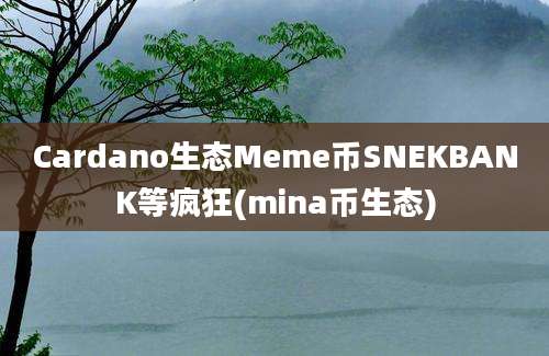 Cardano生态Meme币SNEKBANK等疯狂(mina币生态)