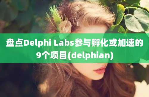 盘点Delphi Labs参与孵化或加速的9个项目(delphian)