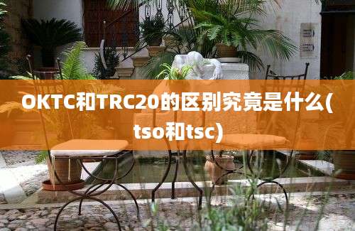 OKTC和TRC20的区别究竟是什么(tso和tsc)